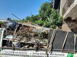 Best Office Cleanout  in Bellevue, IA