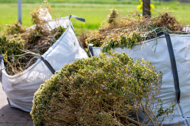 Best Recycling Services for Junk  in Bellevue, IA