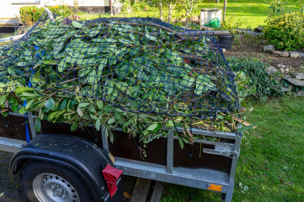 Best Electronics and E-Waste Disposal  in Bellevue, IA